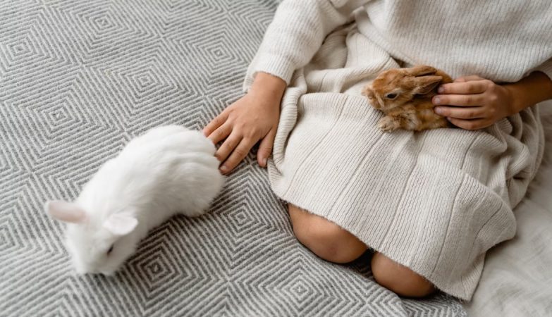 A child petting rabbits indoors on a patterned blanket, creating a warm, cozy atmosphere.